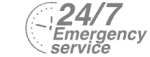 24/7 Emergency Service Pest Control in Wandsworth, SW18. Call Now! 020 8166 9746
