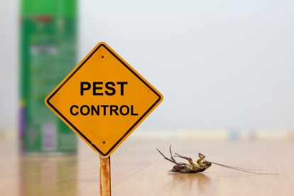 Pest Contol in Wandsworth, SW18. Call Now 020 8166 9746